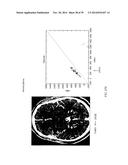 COMPOSITE IMAGE GENERATION AND INTERACTIVE DISPLAY TECHNOLOGY diagram and image