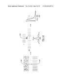 Methods, Systems and Computer Program Products for Diagnosing Conditions     Using Unique Codes Generated from a Multidimensional Image of a Sample diagram and image