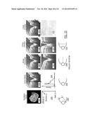 Methods, Systems and Computer Program Products for Diagnosing Conditions     Using Unique Codes Generated from a Multidimensional Image of a Sample diagram and image