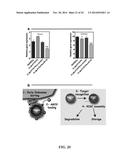 Nanoparticles and Uses Thereof diagram and image