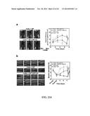 Nanoparticles and Uses Thereof diagram and image