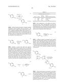 BETA-AMYLOID PET IMAGING AGENTS diagram and image