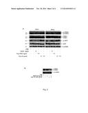 COMPOUNDS MODULATORS OF VEGF ACTIVITY AND USES THEREOF diagram and image