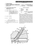 SUPERABSORBENT, FREEZE DRIED HYDROGELS FOR MEDICAL APPLICATIONS diagram and image