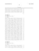 CONSTRUCTION OF A QUADRUPLE ENTEROTOXIN-DEFICIENT MUTANT OF BACILLUS     THURINGIENSIS diagram and image