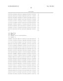 CONSTRUCTION OF A QUADRUPLE ENTEROTOXIN-DEFICIENT MUTANT OF BACILLUS     THURINGIENSIS diagram and image