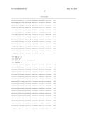 CONSTRUCTION OF A QUADRUPLE ENTEROTOXIN-DEFICIENT MUTANT OF BACILLUS     THURINGIENSIS diagram and image