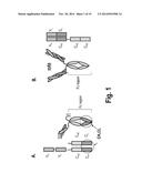 HETERODIMERIC FC REGIONS, BINDING MOLECULES COMPRISING SAME, AND METHODS     RELATING THERETO diagram and image