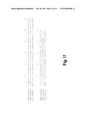 HETERODIMERIC FC REGIONS, BINDING MOLECULES COMPRISING SAME, AND METHODS     RELATING THERETO diagram and image