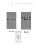 HETERODIMERIC FC REGIONS, BINDING MOLECULES COMPRISING SAME, AND METHODS     RELATING THERETO diagram and image