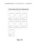 HETERODIMERIC FC REGIONS, BINDING MOLECULES COMPRISING SAME, AND METHODS     RELATING THERETO diagram and image