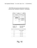 HETERODIMERIC FC REGIONS, BINDING MOLECULES COMPRISING SAME, AND METHODS     RELATING THERETO diagram and image