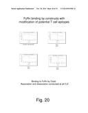 HETERODIMERIC FC REGIONS, BINDING MOLECULES COMPRISING SAME, AND METHODS     RELATING THERETO diagram and image