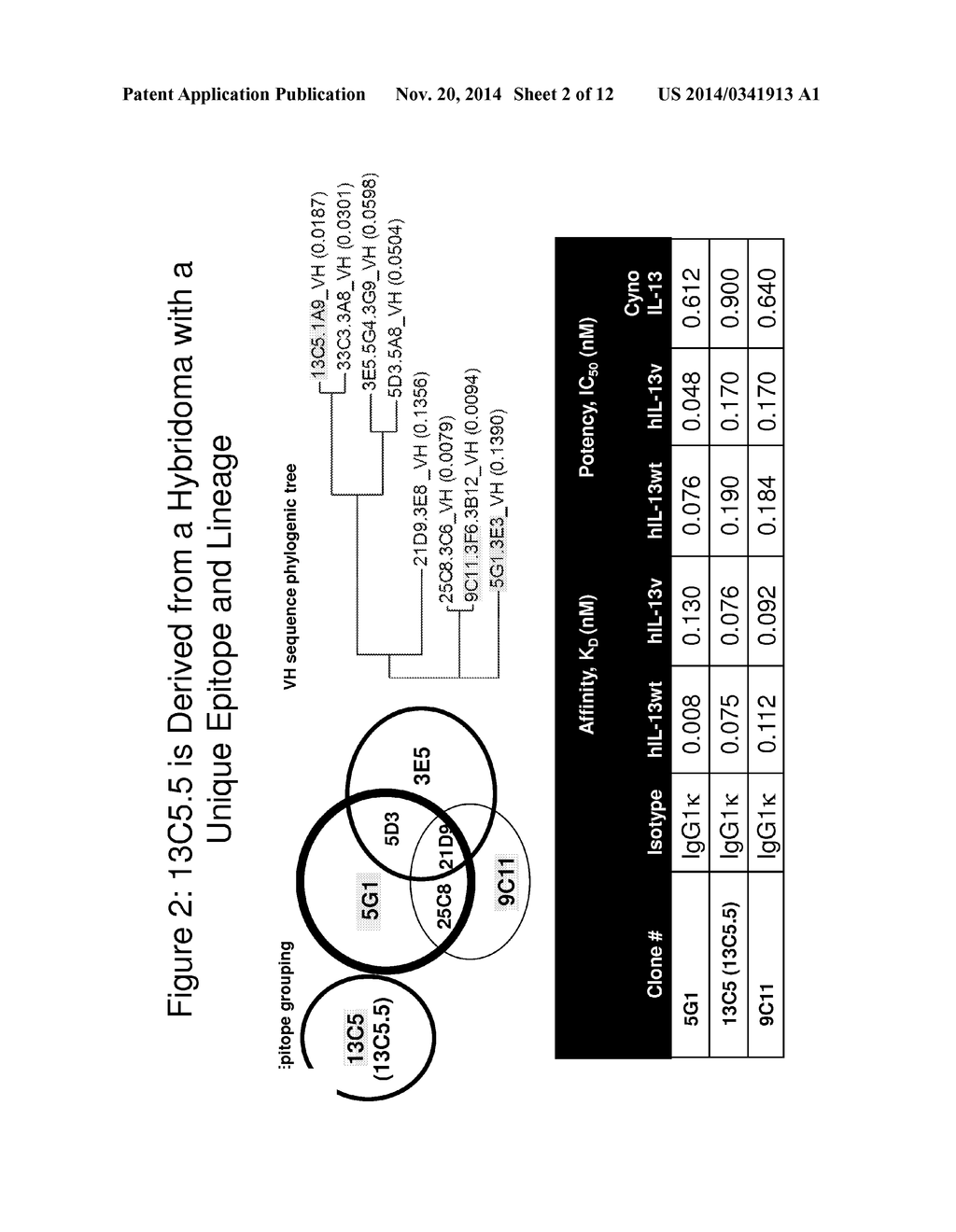 METHODS AND COMPOSITIONS FOR TREATING ASTHMA USING ANTI-IL-13 ANTIBODIES - diagram, schematic, and image 03