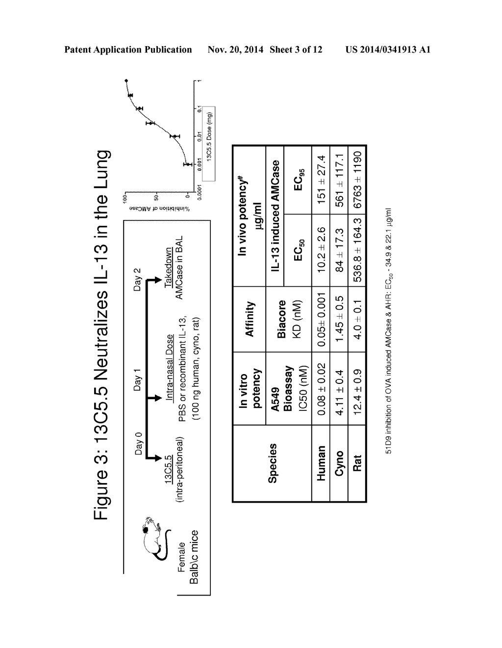 METHODS AND COMPOSITIONS FOR TREATING ASTHMA USING ANTI-IL-13 ANTIBODIES - diagram, schematic, and image 04