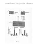 ISOLATED MCPIP AND METHODS OF USE diagram and image