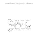 SOLUBLE CD27 (SCD27) AND THE USE THEREOF diagram and image