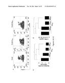 USE OF PDL1 EXPRESSING CELLS TO CONVERT T CELLS INTO REGULATORY T CELLS diagram and image