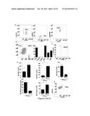 USE OF PDL1 EXPRESSING CELLS TO CONVERT T CELLS INTO REGULATORY T CELLS diagram and image