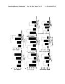 USE OF PDL1 EXPRESSING CELLS TO CONVERT T CELLS INTO REGULATORY T CELLS diagram and image