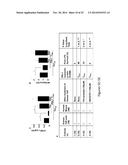 USE OF PDL1 EXPRESSING CELLS TO CONVERT T CELLS INTO REGULATORY T CELLS diagram and image