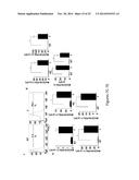 USE OF PDL1 EXPRESSING CELLS TO CONVERT T CELLS INTO REGULATORY T CELLS diagram and image