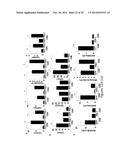 USE OF PDL1 EXPRESSING CELLS TO CONVERT T CELLS INTO REGULATORY T CELLS diagram and image