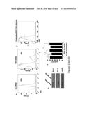 USE OF PDL1 EXPRESSING CELLS TO CONVERT T CELLS INTO REGULATORY T CELLS diagram and image