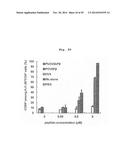 MODIFICATION OF HELPER T CELL-INDUCING POLYPEPTIDE diagram and image