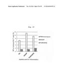 MODIFICATION OF HELPER T CELL-INDUCING POLYPEPTIDE diagram and image