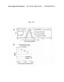 MODIFICATION OF HELPER T CELL-INDUCING POLYPEPTIDE diagram and image