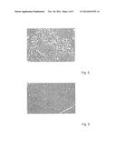 METHOD OF TREATMENT OF DISEASES USING HOODIA EXTRACTS diagram and image