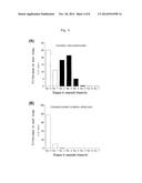 PHARMACEUTICAL COMPOSITION FOR INHALATION diagram and image