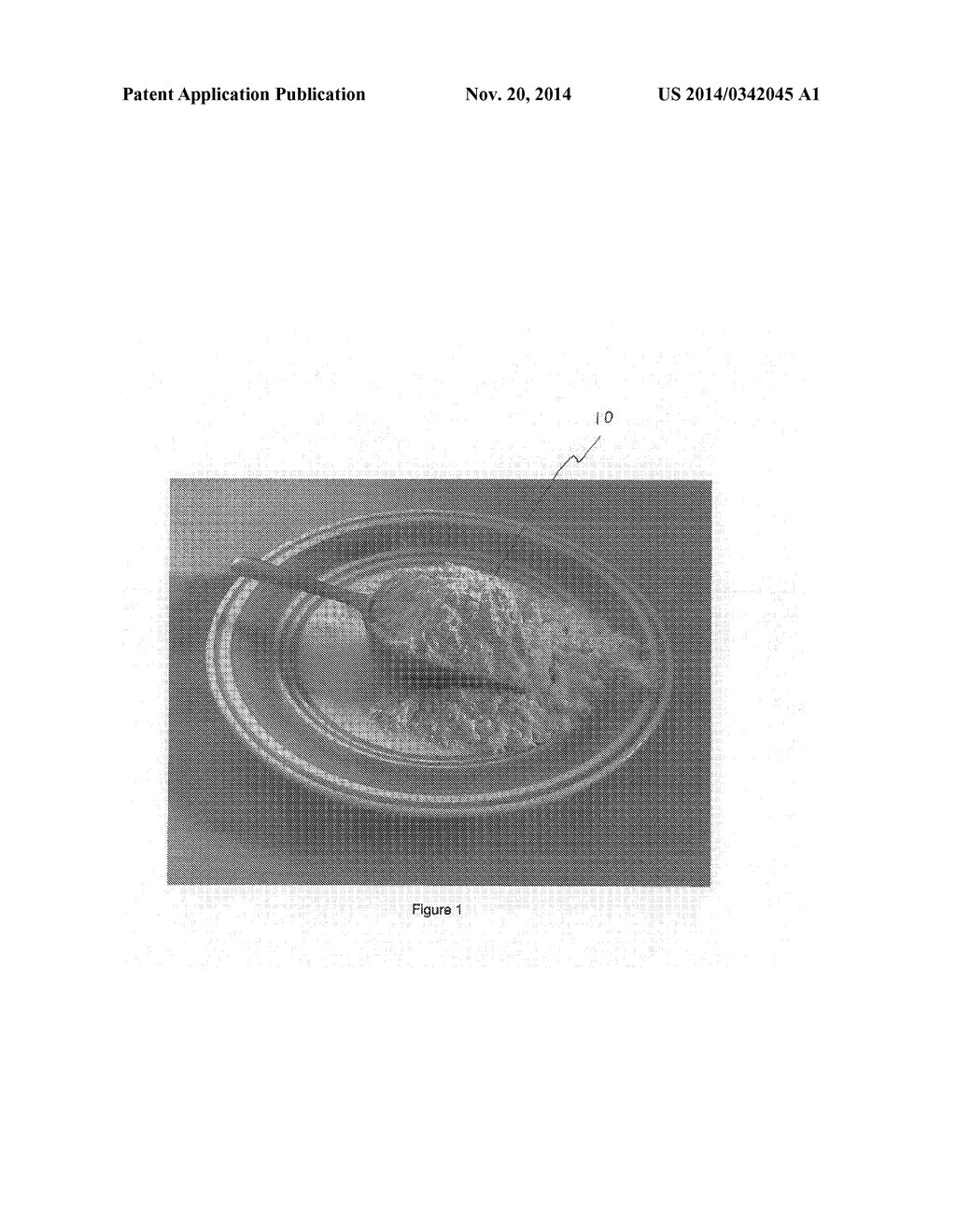 GLUTEN-FREE FLOUR BLEND - diagram, schematic, and image 02