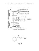 PROCESS OF FOOD PRESERVATION WITH HYDROGEN SULFIDE diagram and image