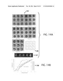 PROCESS OF FOOD PRESERVATION WITH HYDROGEN SULFIDE diagram and image