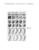 PROCESS OF FOOD PRESERVATION WITH HYDROGEN SULFIDE diagram and image