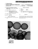 PROCESS FOR SUBSEQUENT SURFACE MODIFICATION OF FINELY STRUCTURED     STRUCTURES diagram and image