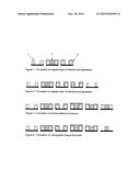 COMPOSITION COMPRISING A POLYMERIC THERMAL ACID GENERATOR AND PROCESSES     THEREOF diagram and image