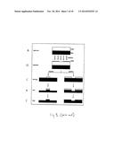 Novel Dual-Tone Resist Formulations And Methods diagram and image