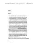 COMPOSITIONS, KITS, AND RELATED METHODS FOR DETECTING AND/OR MONITORING     SHIGA TOXIN PRODUCING ESCHERICHIA COLI diagram and image