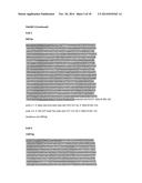 COMPOSITIONS, KITS, AND RELATED METHODS FOR DETECTING AND/OR MONITORING     SHIGA TOXIN PRODUCING ESCHERICHIA COLI diagram and image