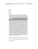 COMPOSITIONS, KITS, AND RELATED METHODS FOR DETECTING AND/OR MONITORING     SHIGA TOXIN PRODUCING ESCHERICHIA COLI diagram and image