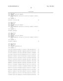 COMPOSITIONS, KITS, AND RELATED METHODS FOR DETECTING AND/OR MONITORING     SHIGA TOXIN PRODUCING ESCHERICHIA COLI diagram and image