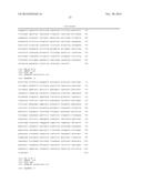 COMPOSITIONS, KITS, AND RELATED METHODS FOR DETECTING AND/OR MONITORING     SHIGA TOXIN PRODUCING ESCHERICHIA COLI diagram and image