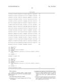 COMPOSITIONS, KITS, AND RELATED METHODS FOR DETECTING AND/OR MONITORING     SHIGA TOXIN PRODUCING ESCHERICHIA COLI diagram and image