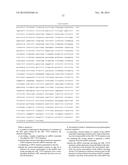 DETECTION OF ABL MUTANT BY ALLELE-SPECIFIC AMPLIFICATION diagram and image