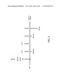 TRANSGENIC NON-HUMAN ANIMAL MODEL FOR ACCELERATED AGING AND/OR AGE-RELATED     SYMPTOM, AND USE THEREOF diagram and image