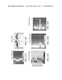 TRANSGENIC NON-HUMAN ANIMAL MODEL FOR ACCELERATED AGING AND/OR AGE-RELATED     SYMPTOM, AND USE THEREOF diagram and image