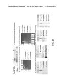 TRANSGENIC NON-HUMAN ANIMAL MODEL FOR ACCELERATED AGING AND/OR AGE-RELATED     SYMPTOM, AND USE THEREOF diagram and image